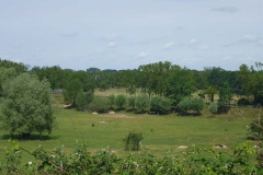 p1020940