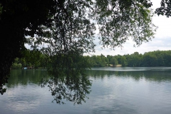 p1020954