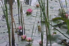 p1020966