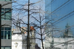 dscn0026