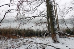 OLYMPUS DIGITAL CAMERA OLYMPUS DIGITAL CAMERA