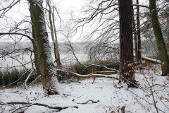 OLYMPUS DIGITAL CAMERA OLYMPUS DIGITAL CAMERA