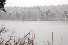 OLYMPUS DIGITAL CAMERA OLYMPUS DIGITAL CAMERA