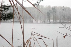 OLYMPUS DIGITAL CAMERA OLYMPUS DIGITAL CAMERA