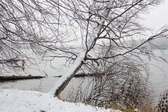 OLYMPUS DIGITAL CAMERA OLYMPUS DIGITAL CAMERA