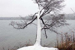 OLYMPUS DIGITAL CAMERA OLYMPUS DIGITAL CAMERA