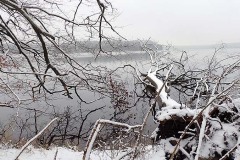 OLYMPUS DIGITAL CAMERA OLYMPUS DIGITAL CAMERA