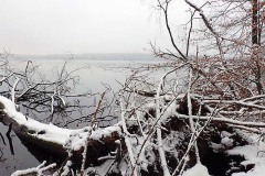 OLYMPUS DIGITAL CAMERA OLYMPUS DIGITAL CAMERA