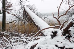 OLYMPUS DIGITAL CAMERA OLYMPUS DIGITAL CAMERA