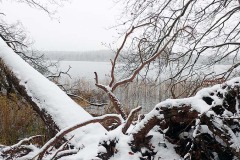 OLYMPUS DIGITAL CAMERA OLYMPUS DIGITAL CAMERA