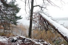 OLYMPUS DIGITAL CAMERA OLYMPUS DIGITAL CAMERA