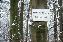 OLYMPUS DIGITAL CAMERA OLYMPUS DIGITAL CAMERA