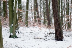 OLYMPUS DIGITAL CAMERA OLYMPUS DIGITAL CAMERA