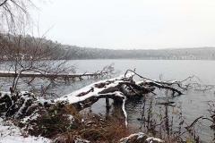 OLYMPUS DIGITAL CAMERA OLYMPUS DIGITAL CAMERA