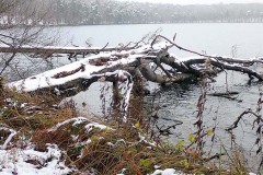 OLYMPUS DIGITAL CAMERA OLYMPUS DIGITAL CAMERA