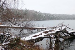 OLYMPUS DIGITAL CAMERA OLYMPUS DIGITAL CAMERA