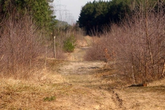 p1030172