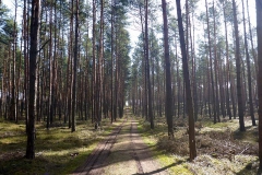 p1030175