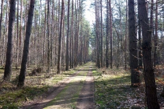 p1030176