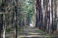 p1030178