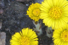 p1030195
