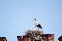 IMG_0105