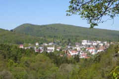 p1010602