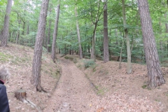 dscn1558