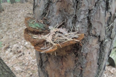 dscn1566