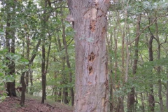 dscn1567