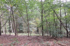 dscn1568