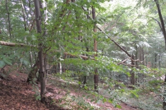 dscn1570