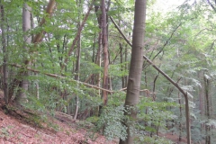 dscn1572