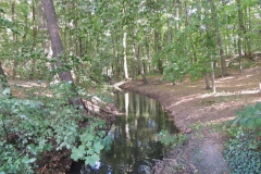 dscn1609