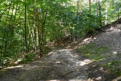 dscn3342