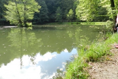 dscn3355