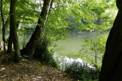dscn3356