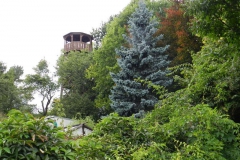 dscn3368