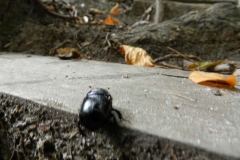 dscn3414