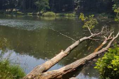 img-20160626-wa0017