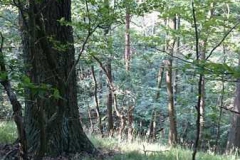img-20160626-wa0035