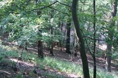 img-20160626-wa0037