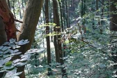 img-20160626-wa0041