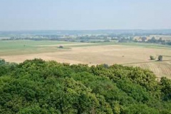 img-20160626-wa0050