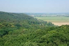 img-20160626-wa0059