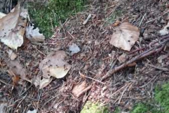 img-20160626-wa0067