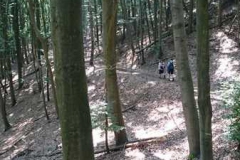 img-20160626-wa0072