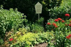 img-20160626-wa0078