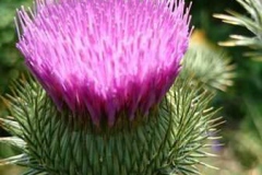 img-20160626-wa0084
