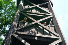 img-20160626-wa0087